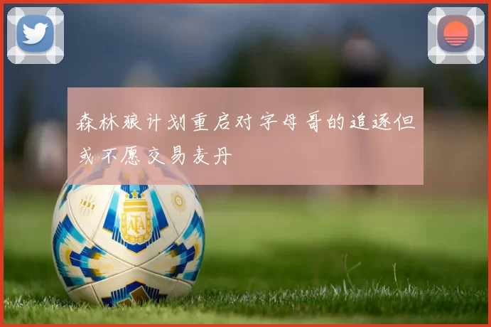 森林狼计划重启对字母哥的追逐但或不愿交易麦丹