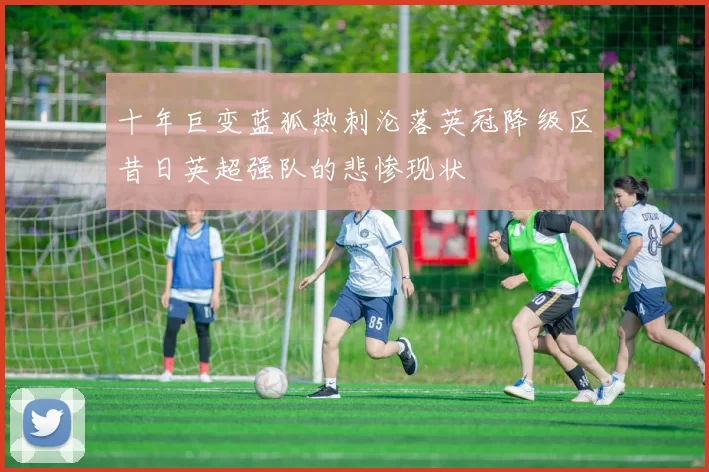 十年巨变蓝狐热刺沦落英冠降级区昔日英超强队的悲惨现状