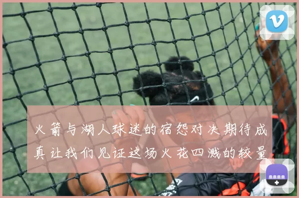 火箭与湖人球迷的宿怨对决期待成真让我们见证这场火花四溅的较量